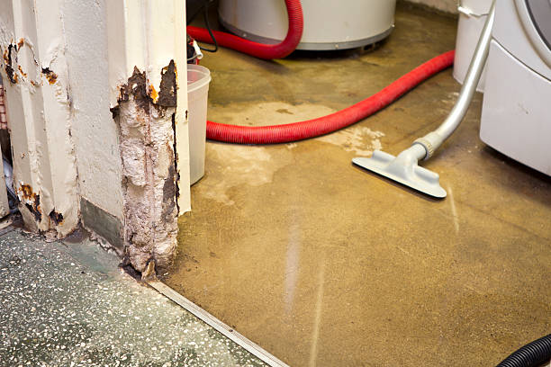 emergency basement leak repair company Venus
