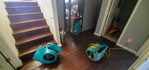 water damage cleanup Venus